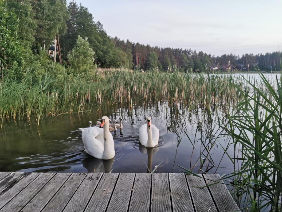 Domek nad Rozlewiskiem Wąglikowice Zewnętrze zdjęcie