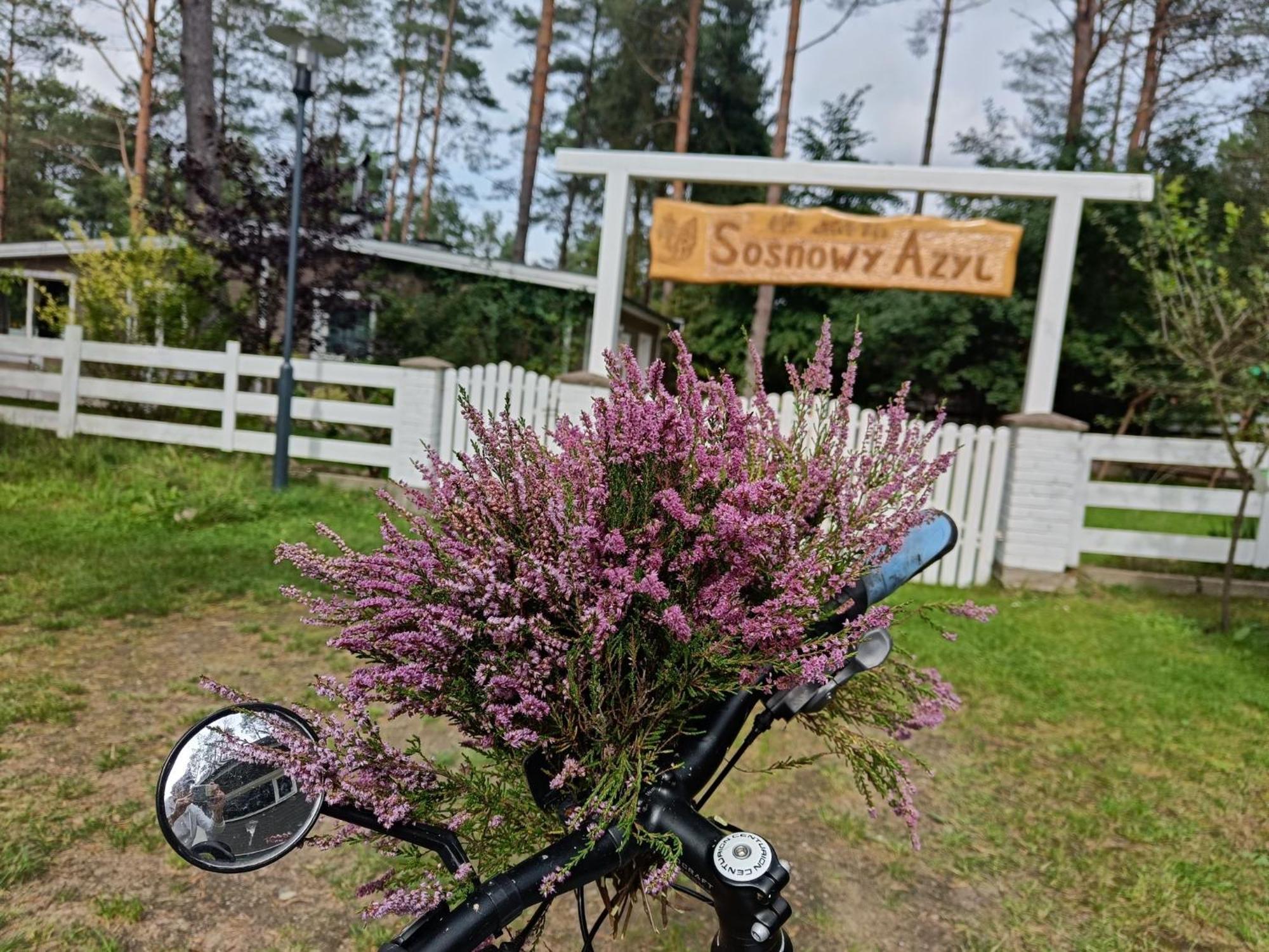 Domek nad Rozlewiskiem Wąglikowice Zewnętrze zdjęcie